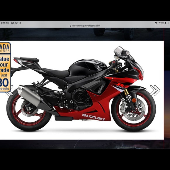 Meet your Posher, Benito - Picture 1 of 1